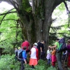 Familienwanderung Hacklberg